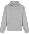 SM531 SF Clothing Kids Sustainable Fashion Hoodie Heather Grey colour image